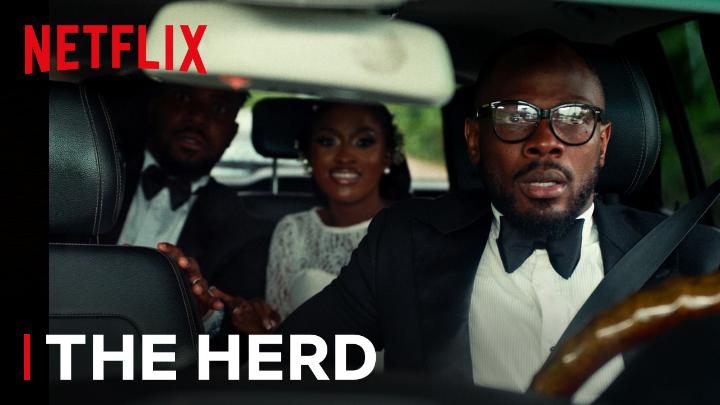 The Herd movie premiere visual